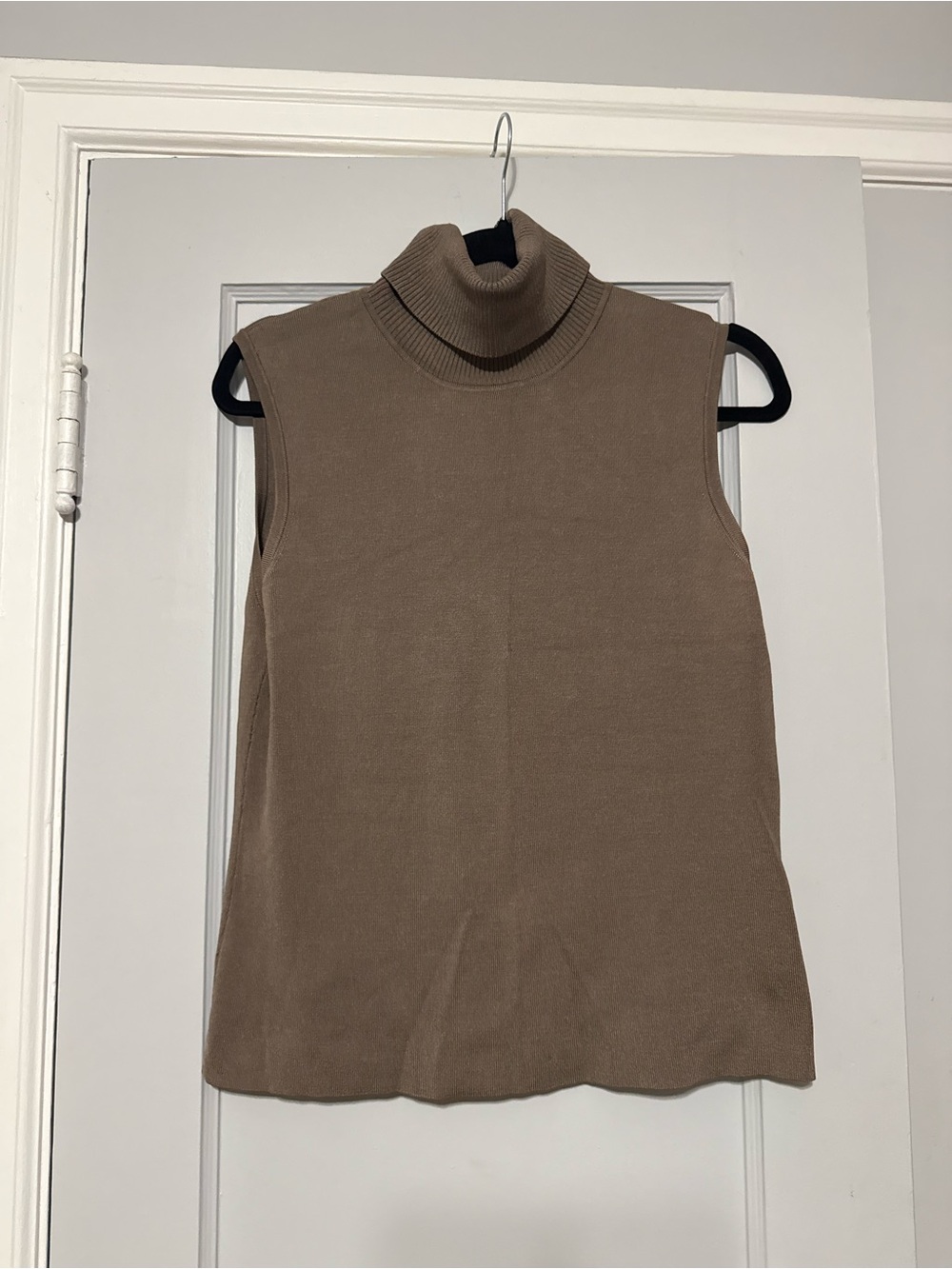 Classiques Entier Ribbed Sleeveless Turtleneck in Brown